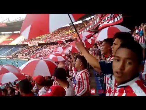 "El Frente Rojiblanco prepara su propia final en la tribuna" Barra: Frente Rojiblanco Sur • Club: Junior de Barranquilla • País: Colombia