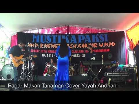 Pagar Makan Tanaman Cover Yayah Andriani (LIVE SHOW PASUKETAN PANGANDARAN)