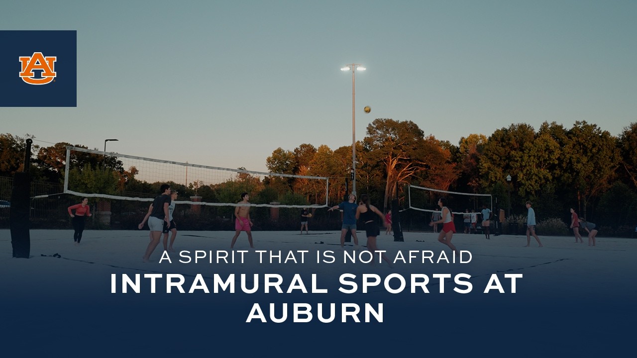 Video 2 image preview image