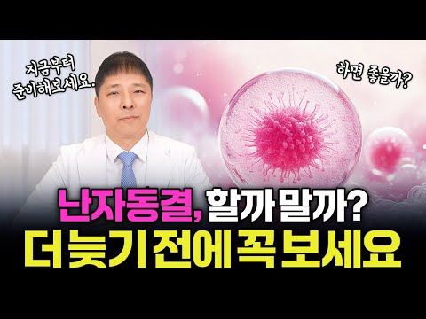 올해 30대 난자 얼려야 할까요? 전문의 기준 난자동결 총정