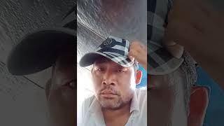 Download lagu còn cho con chữ đi bán vé số số mp3