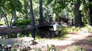 Water pure and simple