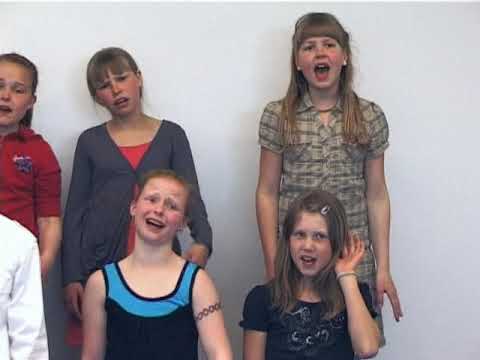 Lubbi finnur málbein - o