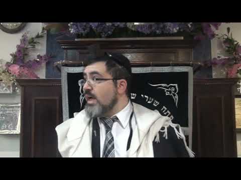 Walking A Dog On Shabbat