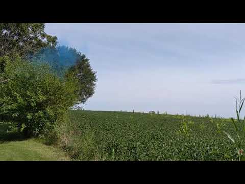 Baby reveal shotgun shells