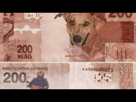 MEGA RAVE AVASSALADORA 2 MC INDIA,MC DRICKA E MC GW DJ LUAN QR E DJ LG