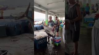 Download lagu Kinalong na ang tuna #trending #shortvideo #shortvideo #shorts mp3 Download lagu Kinalong na ang tuna #trending #shortvideo #shortvideo #shorts mp3