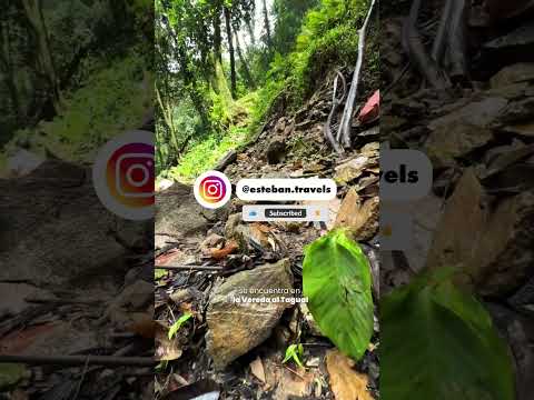 📍Cascada el Tagual, San Francisco, Antioquia #shorts