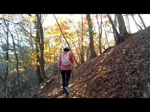 Folhas de outono e o Monte Oshika escalaram do Templo Keitoku-in