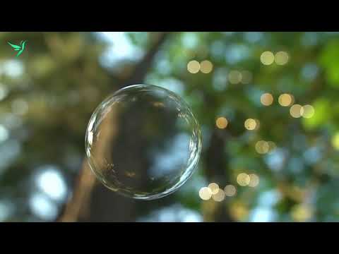 Muse Variation - Piano Meditation