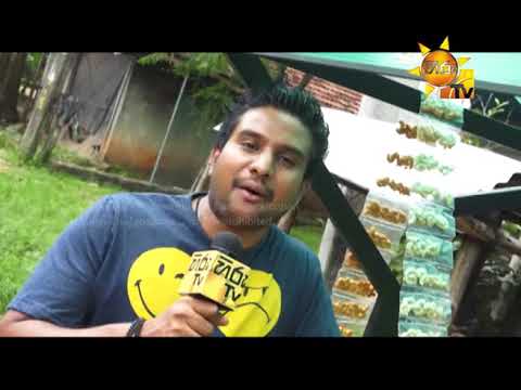 Hiru TV