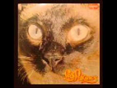 los pakines - san luis.wmv