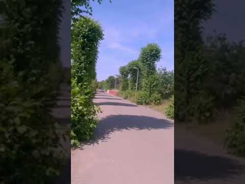 Big Bad V8 #amg #c63 #v8 #musclecar #mercedes #benz #c63amg #m156 #music #london #reel #shorts