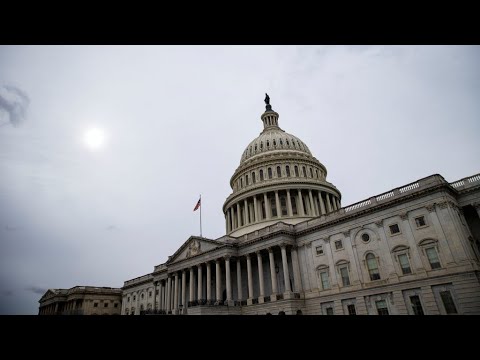 Yemen: US Senate challenges Trump administration over military support for Riyadh