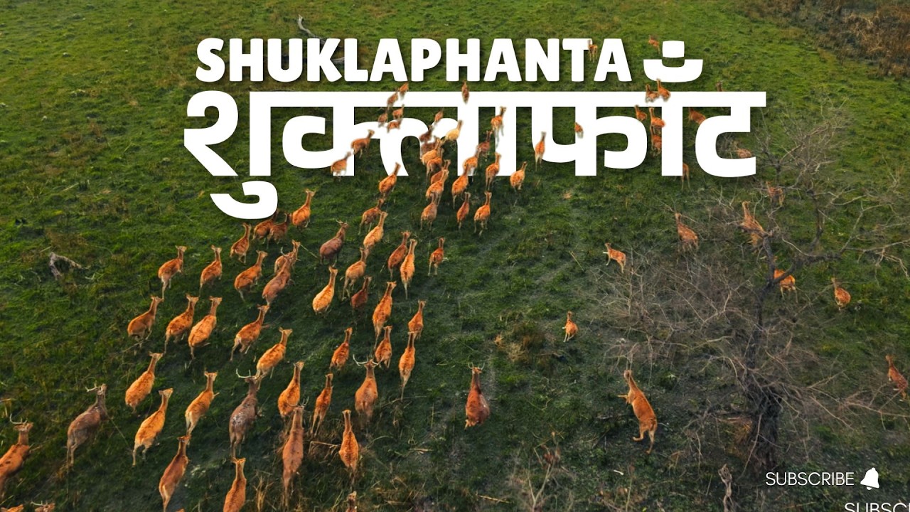 SHUKLAPHANTA NATIONAL PARK (TRAVEL DOCUMENTARY) | FAR WEST NEPAL ON NAMMI VIGO | 4K
