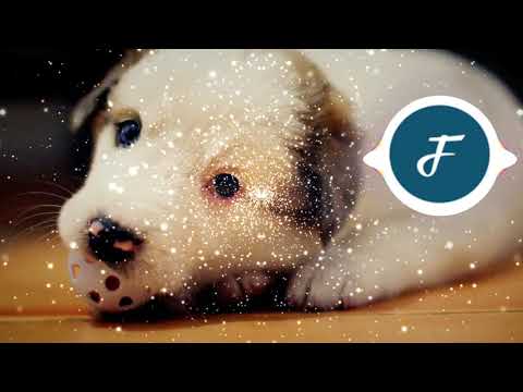 [FREE] ELPORT X CADMIUM - Goddess (feat. Veronica Bravo)