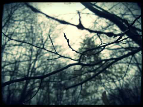 Kozma Orsi Quartet (feat. Harcsa Veronika) - Unreachable