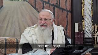 טבח הדרוזים והעלווים - ככה נראית גלות | הרב שמואל אליהו | הלכה יומית | כ״ח תמוז תשפ״ה (הרב שמואל אליהו) - התמונה מוצגת ישירות מתוך אתר האינטרנט יוטיוב. זכויות היוצרים בתמונה שייכות ליוצרה. קישור קרדיט למקור התוכן נמצא בתוך דף הסרטון