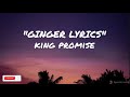 King Promise Ginger Lyrics
