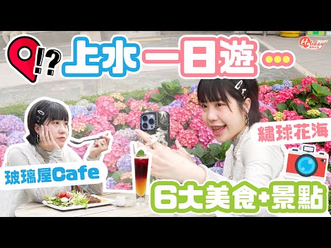 上水一日遊｜6大食玩好去處！玻璃Cafe歎有機菜＋椰樹林打卡｜上水好去處｜HolidaySmart