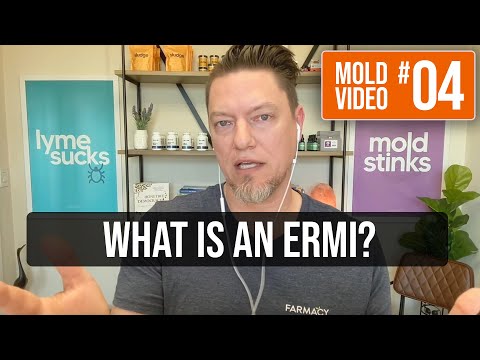 What is an ERMI?