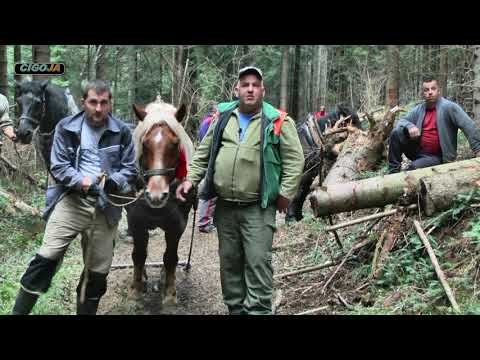 - MOBA KOD ALDINA MELIĆA U DONJEM VAKUFU HUMANOST FURMANA NA DJELU 2021