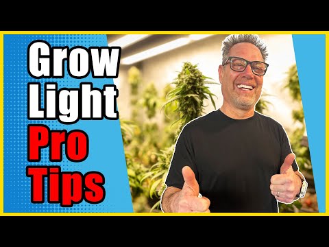Don't Buy New LED Lights For Your Cannabis Grow Until You Know This