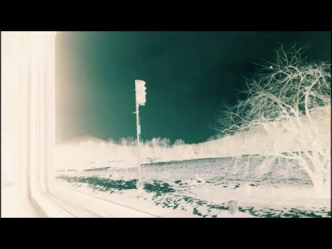 die biene maja - die biene maja   za zrcadlem