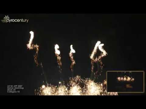 APF 2007 - 25SH FAN MAD DOG (Batch 2018) - CE CATEGORY F2