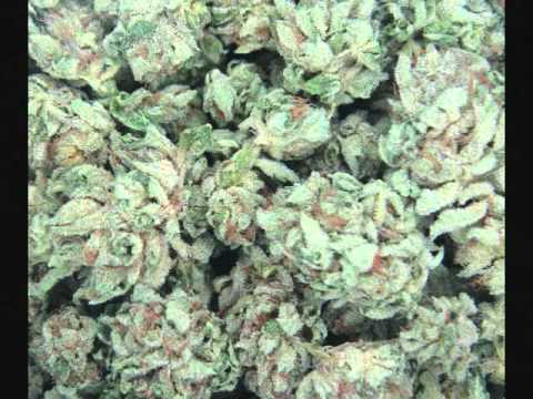 J Luv FT.JOJO & Big Ant KUSH