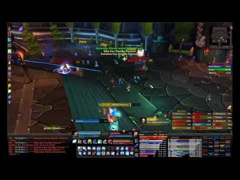 Tribunal vs The Illidari Council