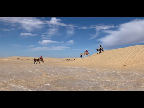 iPhone Cinematic 4k: Tozeur (ⵜⵓⵣⴻⵔ) - Bela Tunísia