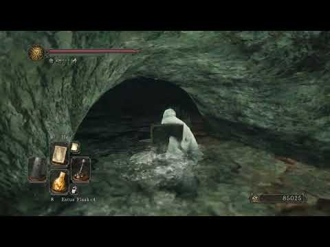 68. Pacifist grabs Titanite Chunk at Doors of Pharros, Dark Souls II SotFS