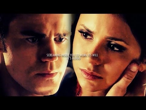 Stefan and Elena | 'You Are Not Friends...' [4x14]