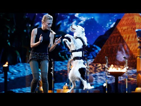Sara and Hero  Dogs And Trainer Deliver Incredible Tricks   America's Got Talent 2017