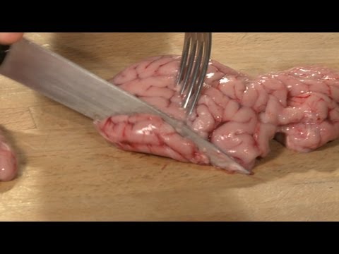 Raw Brain Taste Test