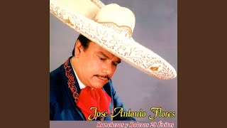 Respeta Mi Dolor Lyrics English Translation