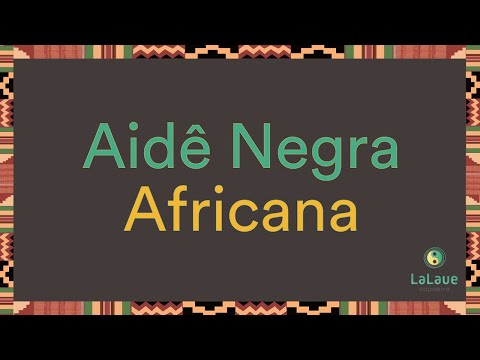 Aidê Nega Africana
