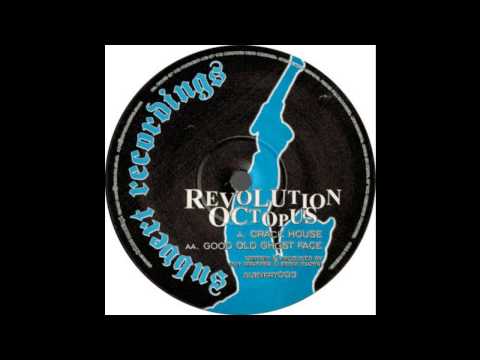 Revolution Octopus - Crack House (Acid Techno 2003)