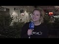 Eigen limoncello, kerstbomen en afhaalpasteitjes; creatieve horeca-ideeën om kerstverlies te comp...