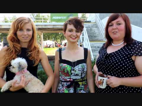 Hafárna  (nejen psí kavárna)