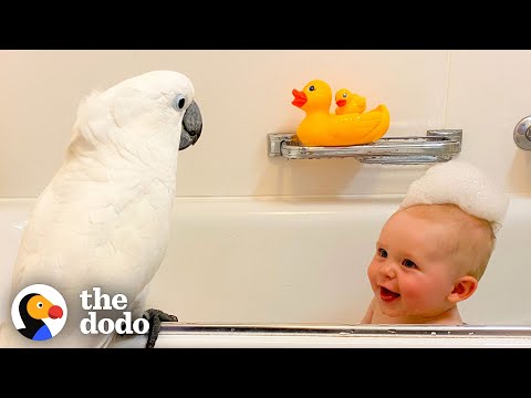 What It's Like to Grow Up With a Parrot