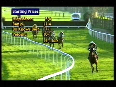 1995 Scilly Isles Novices' Chase