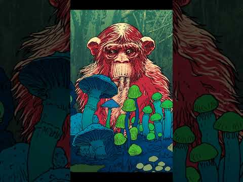 "Licor de Ayer" - Buen Finde