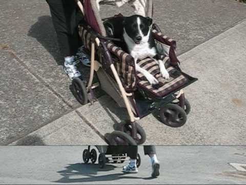 Molly Montgomery in her stroller