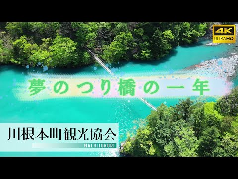 四季折々様々な色に変化する「夢のつり橋」の一年