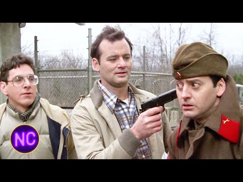 Fooling the Czech Border Guards | Stripes (1981) | Now Comedy