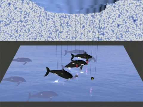 Olympic Coverage 2010:  Opening Ceremony