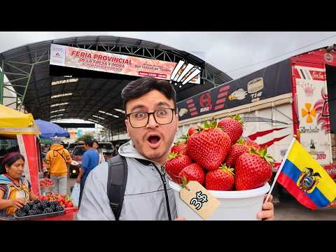 LA FERIA PROVINCIAL DE LA FRESA 🍓Y MORA EXPENDEN A TODO EL PAÌS - TISALEO - TUNGURAHUA