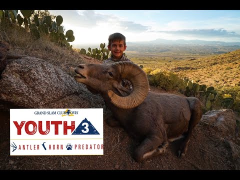 "FINDING FOREST'S RAM" Grand Slam Club Ovis Youth 3 Horn
